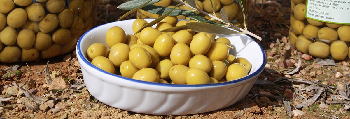 Olives Manzanilla - Un des ingrédients de la nourriture espagnole les plus sains que nous connaissons