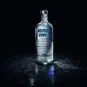 Vodka Absolut