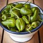 poivrons de Padron