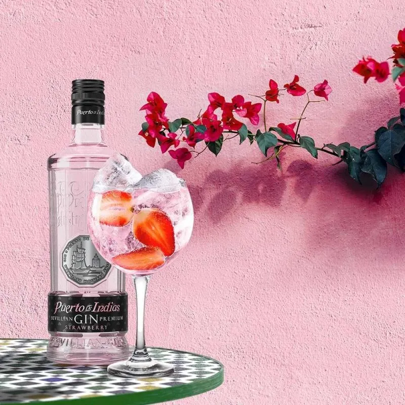 Puerto de Indias Strawberry Gin