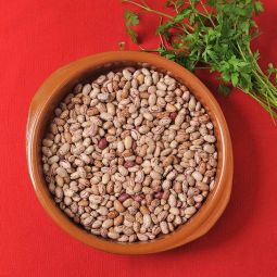 Haricots Pintos