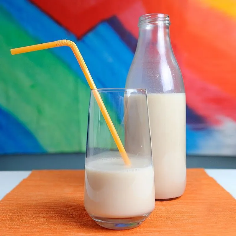 Horchata Ecológica Concentrado