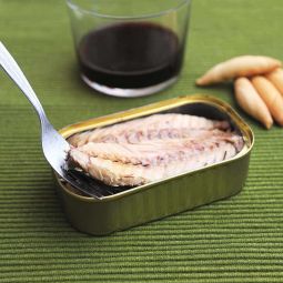 mackerel fillets in Olive Oil