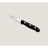Cuchillo Puntilla Maitre