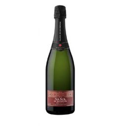 Cava Na Sol de Rechenna Brut Nature