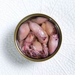 Chipirones en Aceite Vegetal Dani