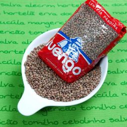 Lentilles Pardina Luengo