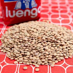 Lentilles Rapides Luengo
