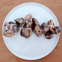 Iberian Ham Bone