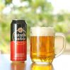Pack 24 Estrella Galicia Beer