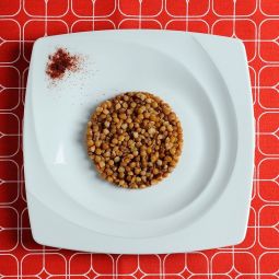 Lentilles en Conserve