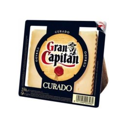 Gran Capitan Sharp Cheese Wedge I Buy Online I Free Shipping