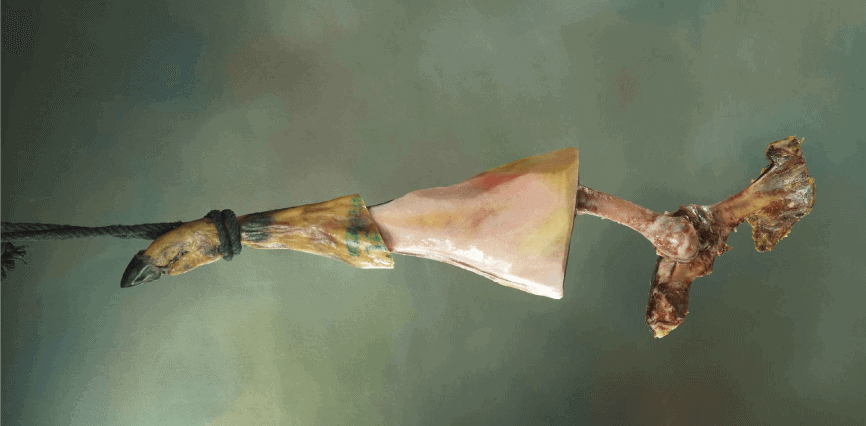 serrano ham bone - gastronomic Spain