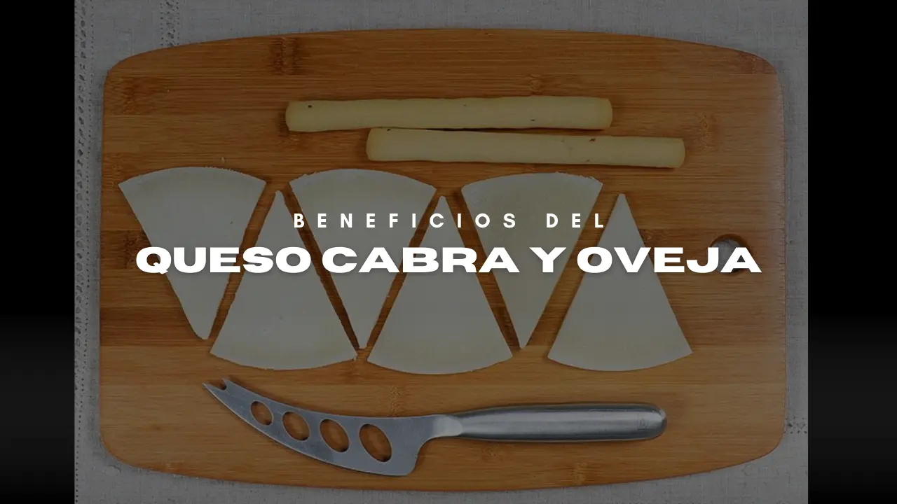 Beneficios del queso de cabra y oveja - ES