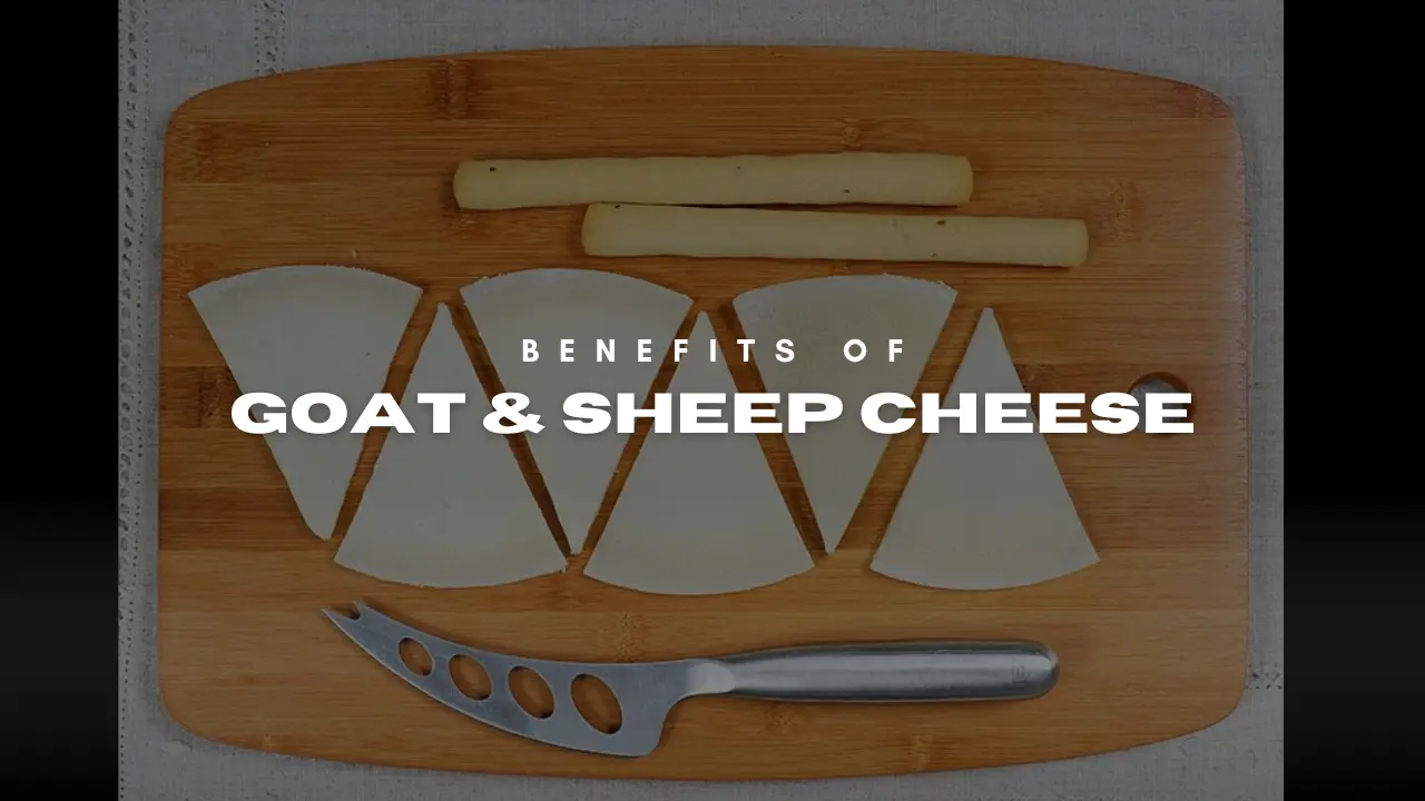 Benefits of goat and sheep cheese - EN