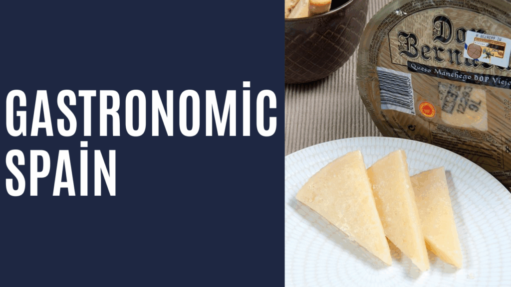 Gastronomic Spain