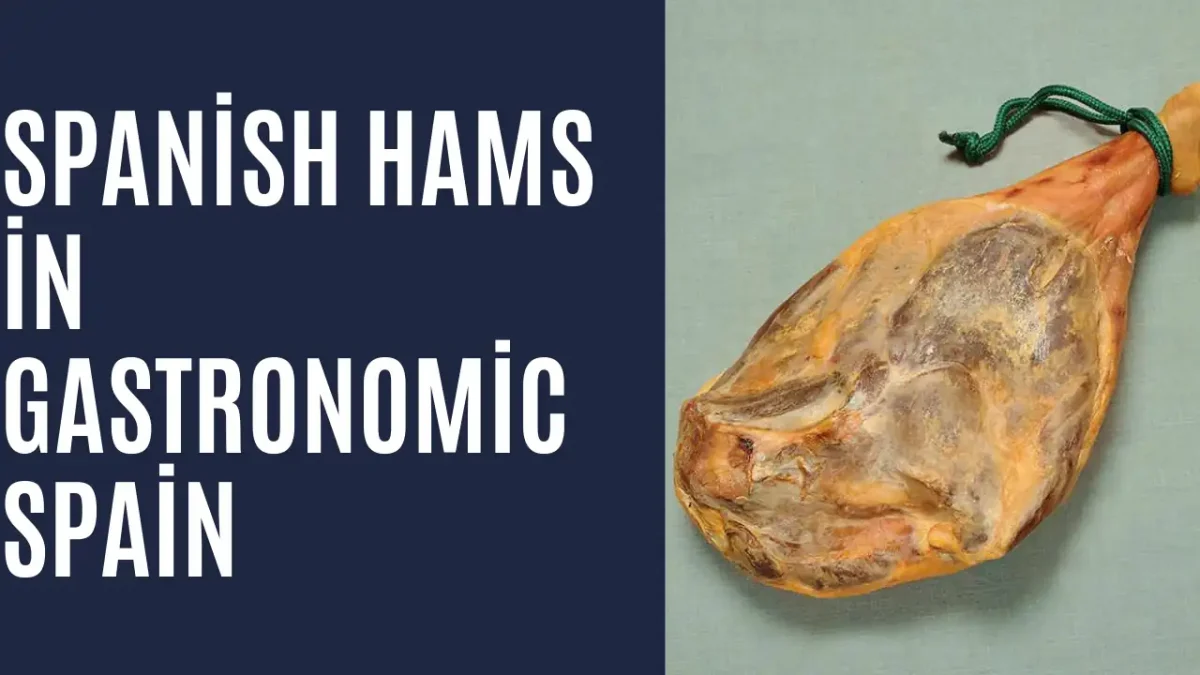 Spanish hams - Gastronomic Spain