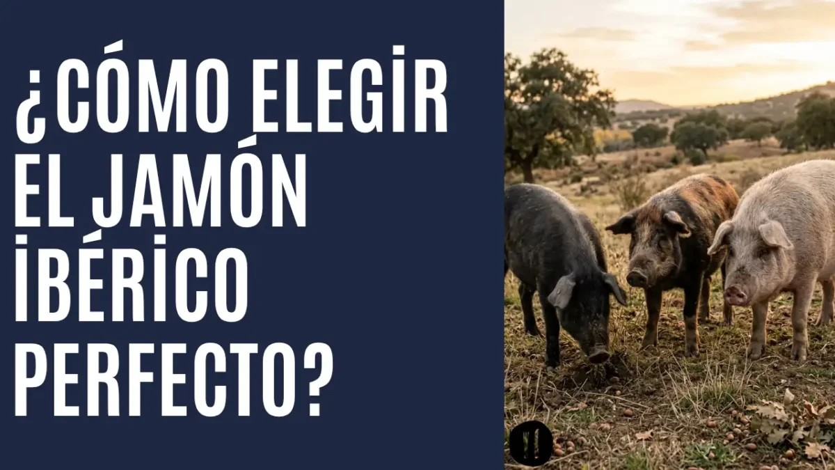 Cómo elegir el jamón ibérico perfecto - ES